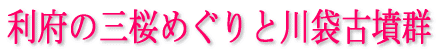 利府の三桜めぐりと川袋古墳群 